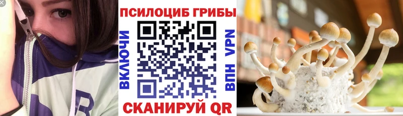 Купить закладки Невельск Псилоцибиновые грибы MAGIC MUSHROOMS